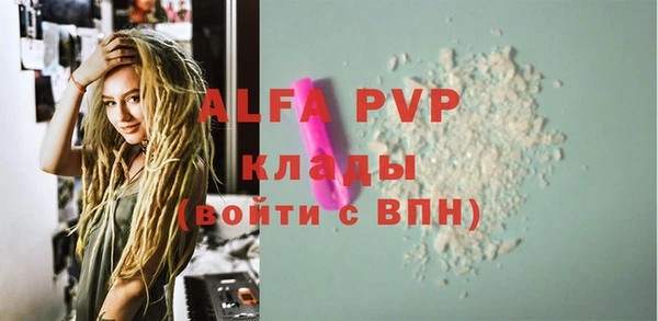 индика Мегион