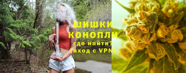 СК Медногорск