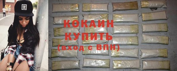 индика Мегион
