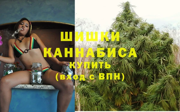 индика Мегион