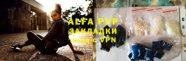 индика Мегион