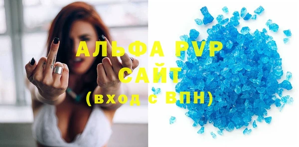 индика Мегион